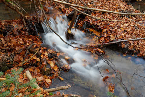 Gemeinde Bayerisch_Eisenstein Landkreis Regen Hans-Watzlik-Hain Bachlauf (Dirschl Johann) Deutschland REG